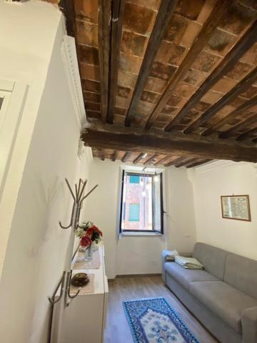 Apt Bruco Apartment Siena